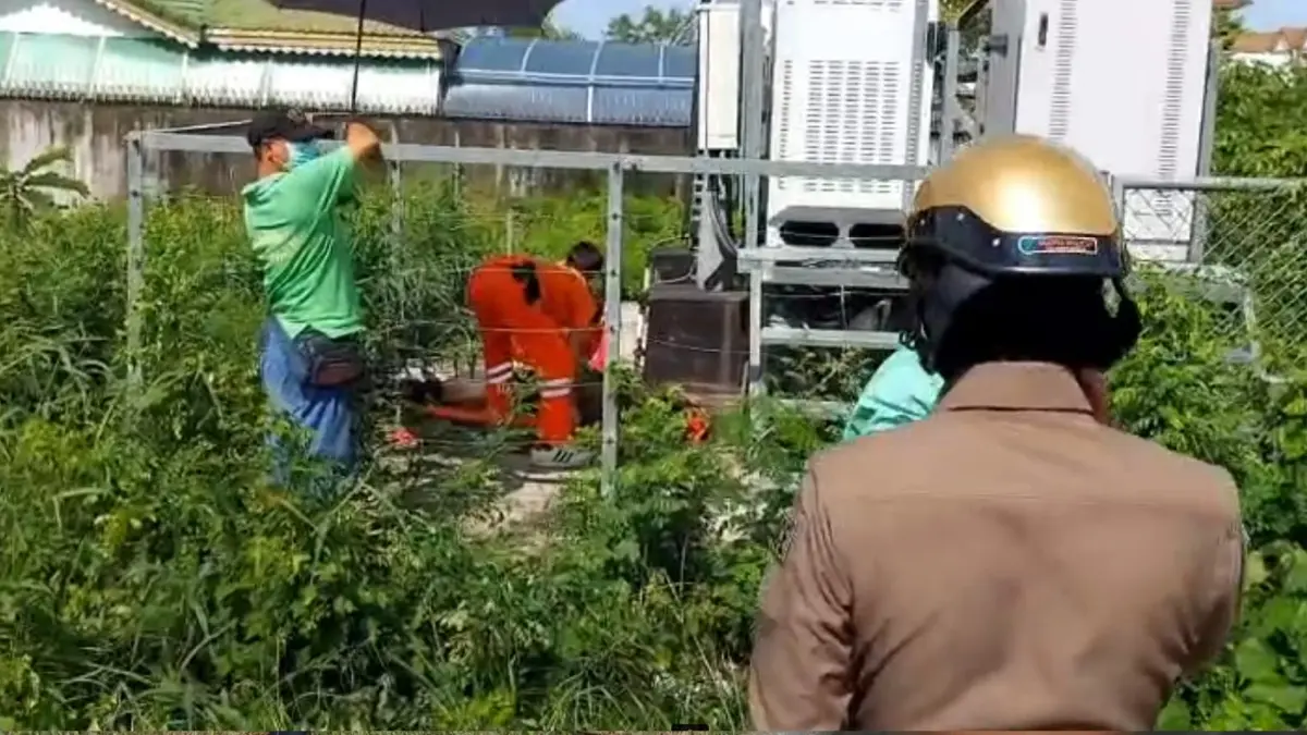 หนุ่มใหญ่ จอดจักรยานปีนเสาสัญญาณโทรศัพท์ ดิ่งพื้นดับ หนุ่มใหญ่ จอดจักรยานปีนเสาสัญญาณโทรศัพท์ ดิ่งพื้นดับ