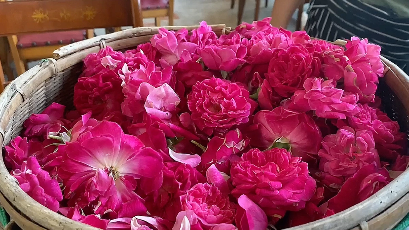 ดอกไม้ 'กินได้' ปลอดสารพิษ ทำเงินเดือนละ 3 หมื่น!