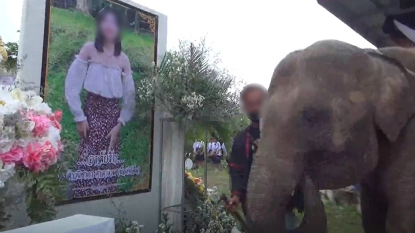 “น้องฟิล์ม” สิงร่างทรงบอกลาช้างคู่ใจ พ่อแม่รับยังทำใจไม่ได้ (มีคลิป)