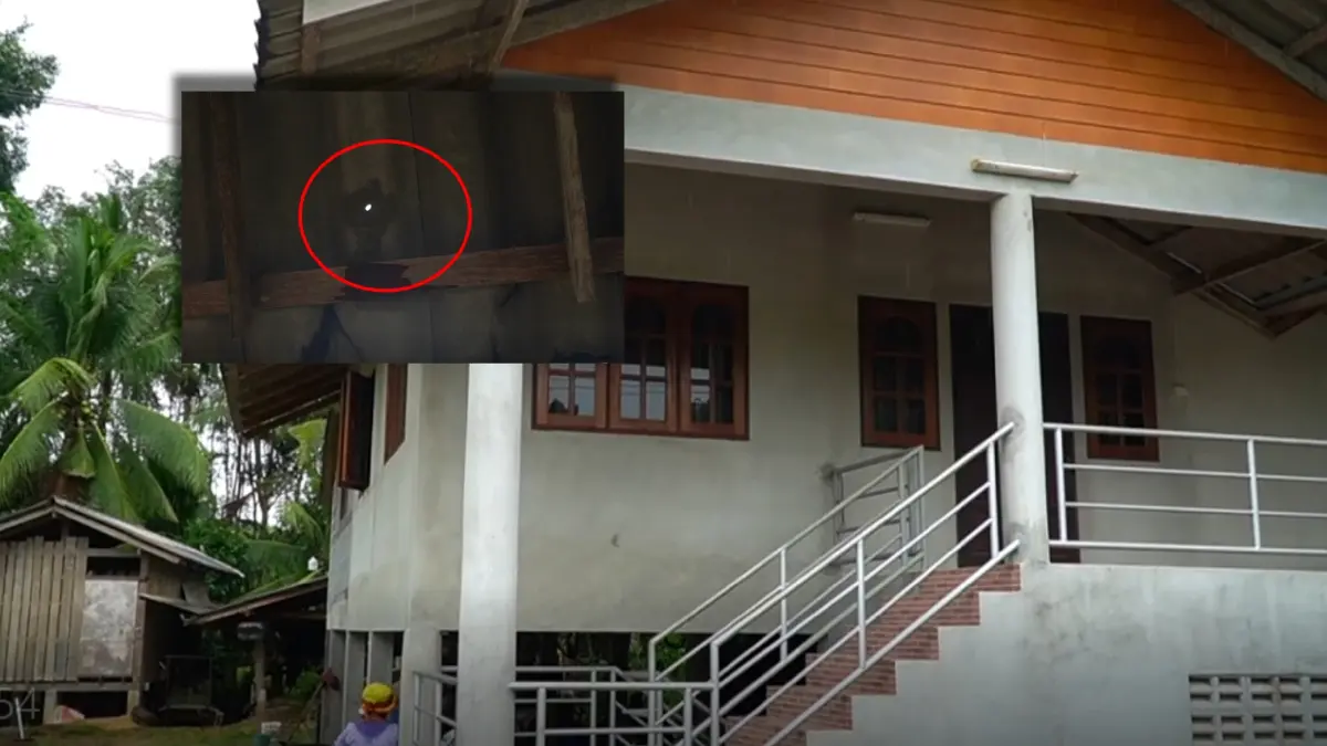 ผวา “กระสุนปริศนา” ตกใส่หลังคาบ้านกลางดึก ยายวัย 60 โร่แจ้งตร.เร่งตรวจสอบ ผวา “กระสุนปริศนา” ตกใส่หลังคาบ้านกลางดึก ยายวัย 60 โร่แจ้งตร.เร่งตรวจสอบ