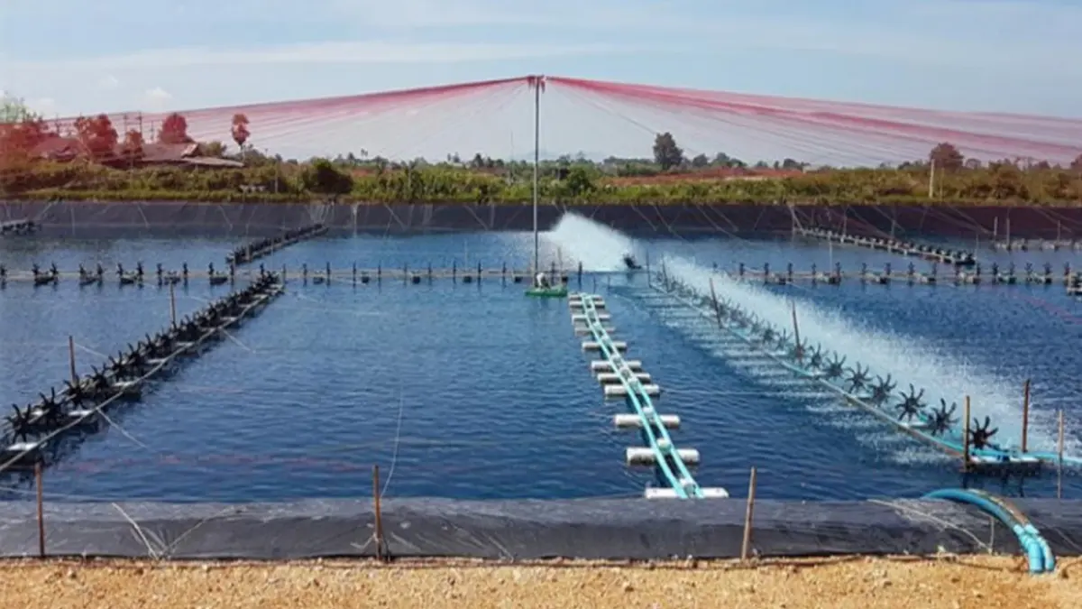 รัฐเตรียมเยียวยากว่า 200 ล. เกษตรกรเพาะเลี้ยงสัตว์น้ำ ที่ประสบภัยน้ำท่วม รัฐเตรียมเยียวยากว่า 200 ล. เกษตรกรเพาะเลี้ยงสัตว์น้ำ ที่ประสบภัยน้ำท่วม