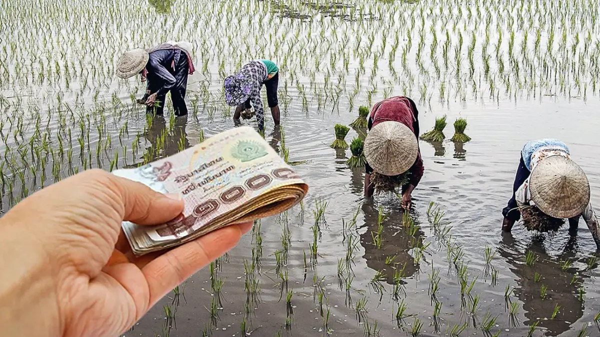 เกษตรกรอุบลฯ วอนรัฐ ‘เพิ่ม’ เงินเยียวยาน้ำท่วม เกษตรกรอุบลฯ วอนรัฐ ‘เพิ่ม’ เงินเยียวยาน้ำท่วม
