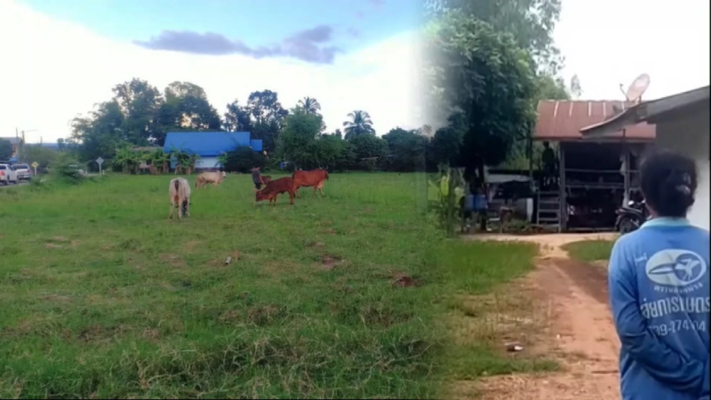 หนุ่มหลอนยา เห็นลุงเลี้ยงวัวผ่านบ้านนึกว่าสายลับ ใช้ลูกซองยิงเสียชีวิต