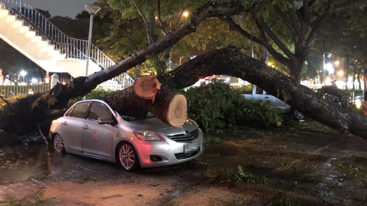 ฝนถล่มต้นไม้ล้มทับรถในจุฬาฯ เสียหาย 2 คัน ฝนถล่มต้นไม้ล้มทับรถในจุฬาฯ เสียหาย 2 คัน