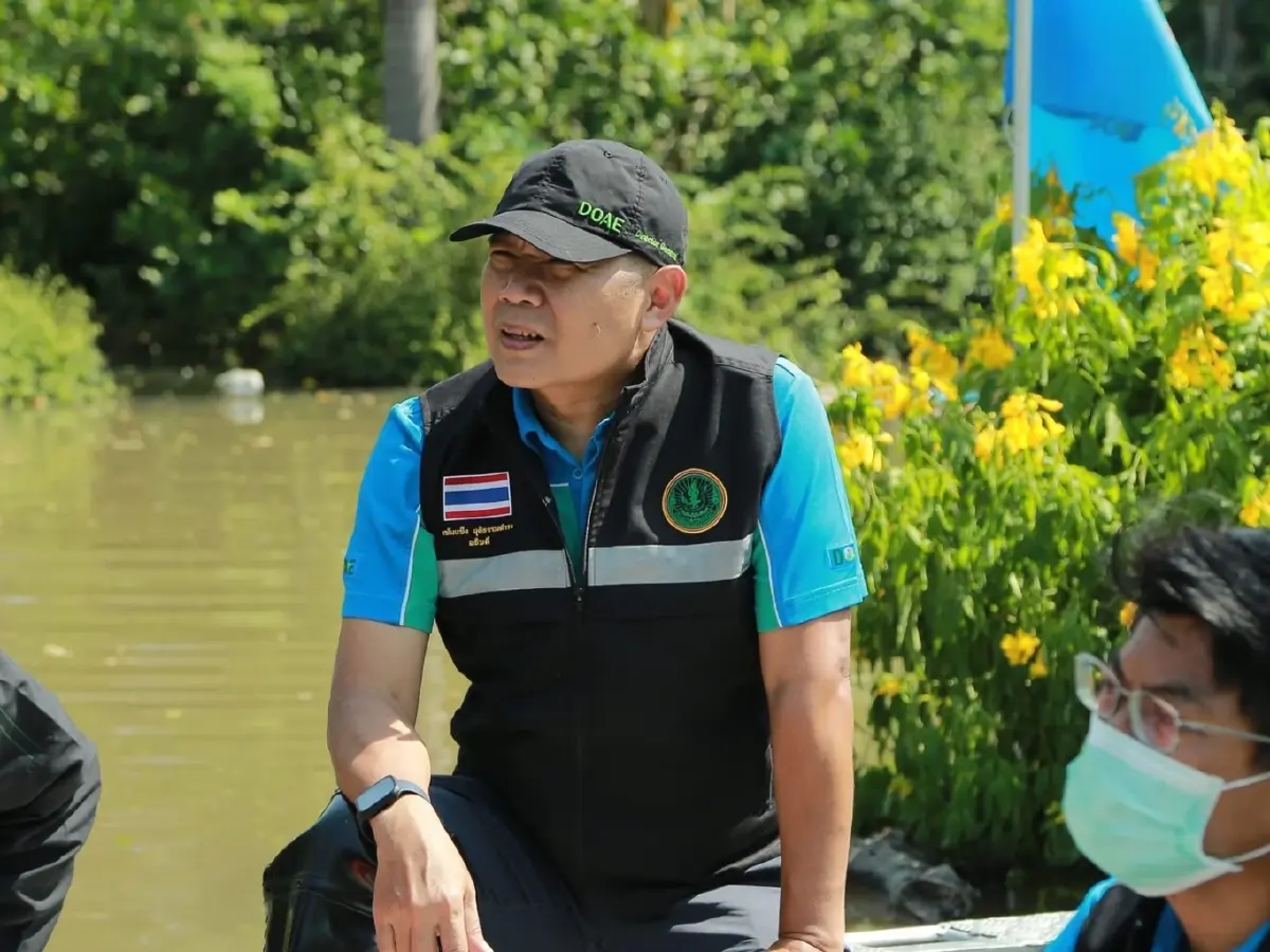 กรมส่งเสริมการเกษตร เตรียมลดผลกระทบโรคใบด่าง-น้ำท่วมซ้ำ กรมส่งเสริมการเกษตร เตรียมลดผลกระทบโรคใบด่าง-น้ำท่วมซ้ำ