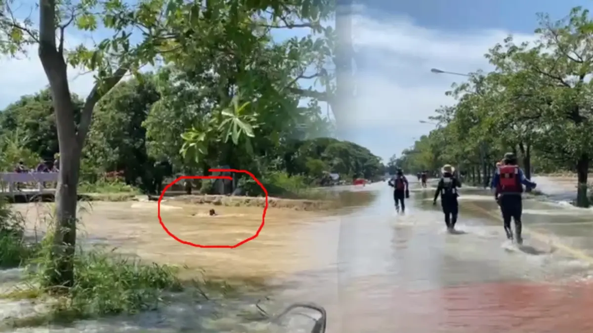 ระทึก นาทีชีวิตมูลนิธิร่วมกตัญญูช่วยชีวิตลุงพายเรือถูกน้ำดูด (มีคลิป)