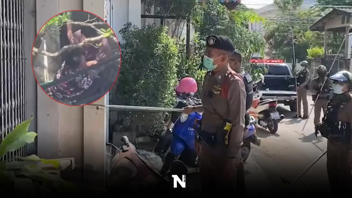 ชาวบ้านสุดเอือม! ถ่ายคลิปลูกทรพีเมาเหล้าทุบตีแม่ประจำ วอนพาตัวไปบำบัด ชาวบ้านสุดเอือม! ถ่ายคลิปลูกทรพีเมาเหล้าทุบตีแม่ประจำ วอนพาตัวไปบำบัด