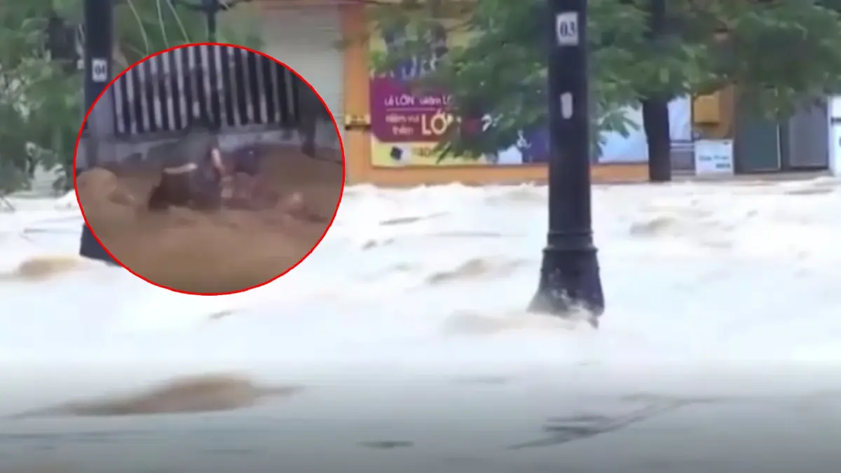 พายุ “เซินกา” ถล่ม “เวียดนาม” ดานังท่วมหนักสุดรอบ 30 ปี  (มีคลิป)