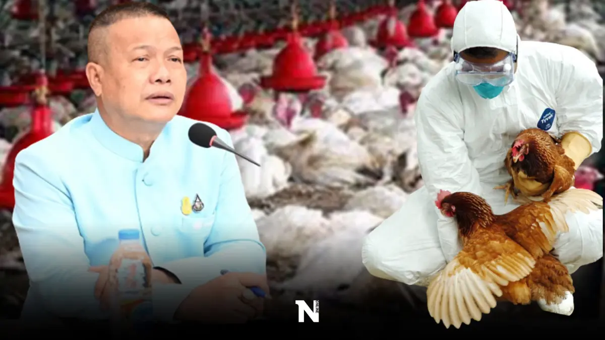 ปศุสัตว์ ประกาศเตือนด่วน หลัง “เวียดนาม” พบไข้หวัดนกระบาด