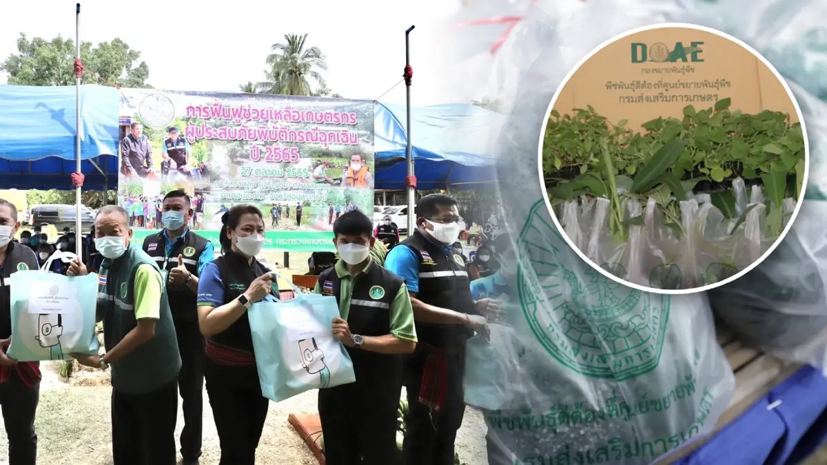 "รมว.เกษตร"สั่งเดินหน้าฟื้นฟูเกษตรกร บรรเทาเดือดร้อนผู้ประสบอุทกภัย