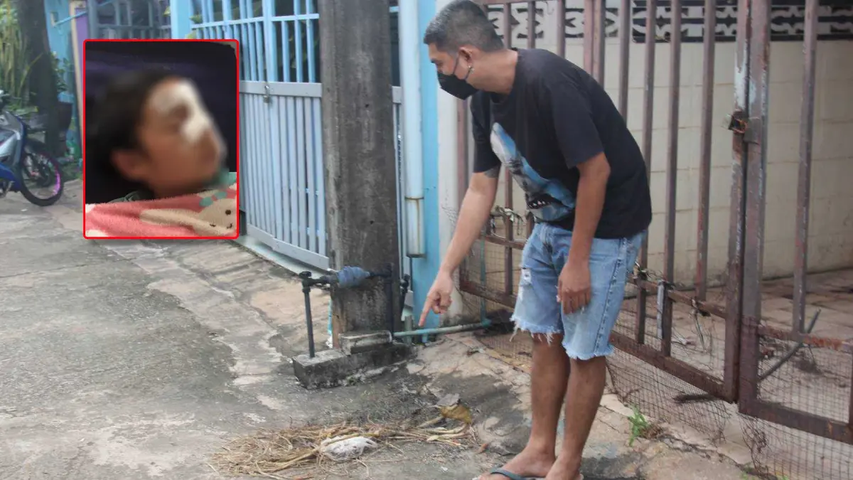 พ่อช็อกหมาขย้ำลูก 7 ขวบสาหัส เพื่อนบ้านยันไม่ใช่หมาตน-แค่ให้อาหาร พ่อช็อกหมาขย้ำลูก 7 ขวบสาหัส เพื่อนบ้านยันไม่ใช่หมาตน-แค่ให้อาหาร