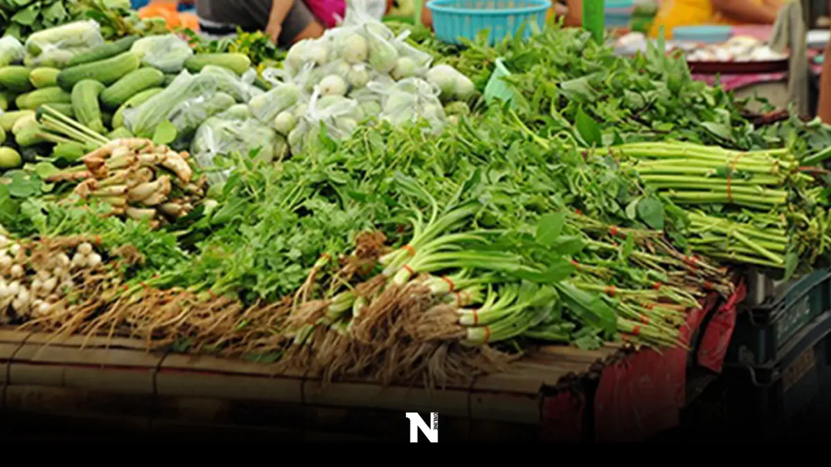 วันนี้ ผักชี กิโลกรัมละ 200 บาท! ผักอื่นๆ ราคาเท่าไหร่กันบ้าง เช็กราคาผักกันตรงนี้