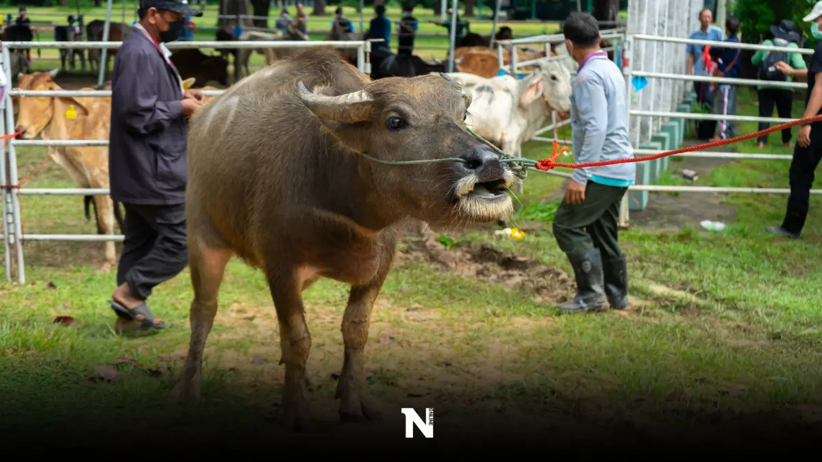 “สมาคมประชาคมคนตาบอดไทย” ชวนสร้างบุญใหญ่เสริมสิริมงคลในชีวิต