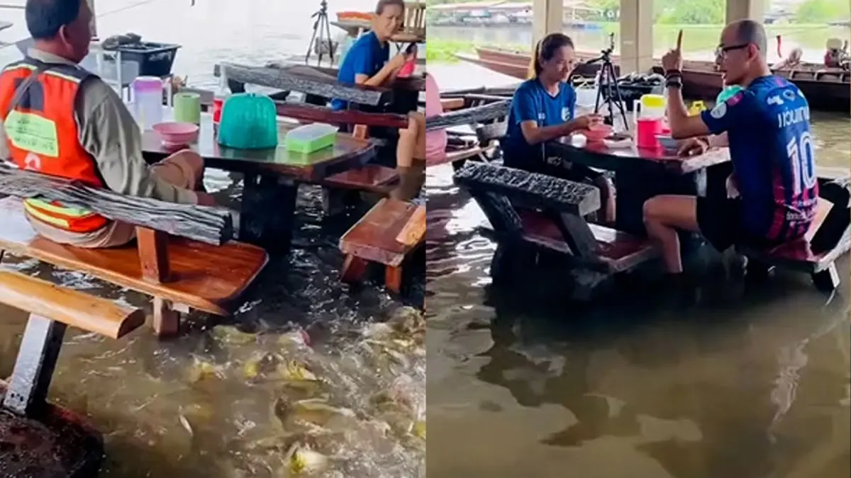 สู้ทั้งพ่อค้า-ลูกค้า นั่งทานก๋วยเตี๋ยวแถมฟรีสปาเท้าจากฝูงปลาตะเพียน สู้ทั้งพ่อค้า-ลูกค้า นั่งทานก๋วยเตี๋ยวแถมฟรีสปาเท้าจากฝูงปลาตะเพียน