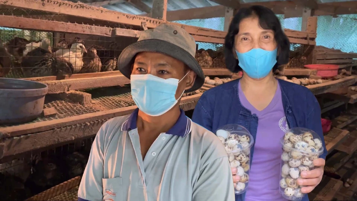 เจ้าแรกใน จังหวัดตรัง เลี้ยง “นกกระทา” ครบวงจรขายสร้างรายได้