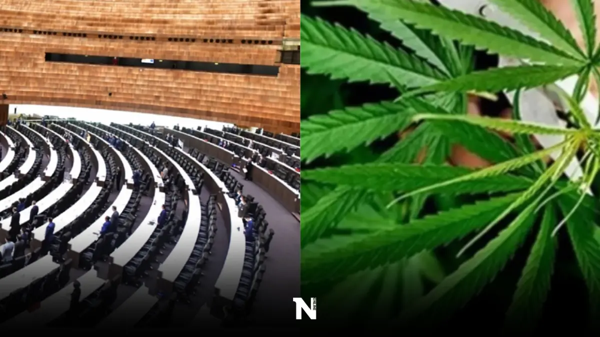 สภาเดือด! ส่อดันวาระชี้ชะตาโหวตร่าง กม.กัญชา วันนี้