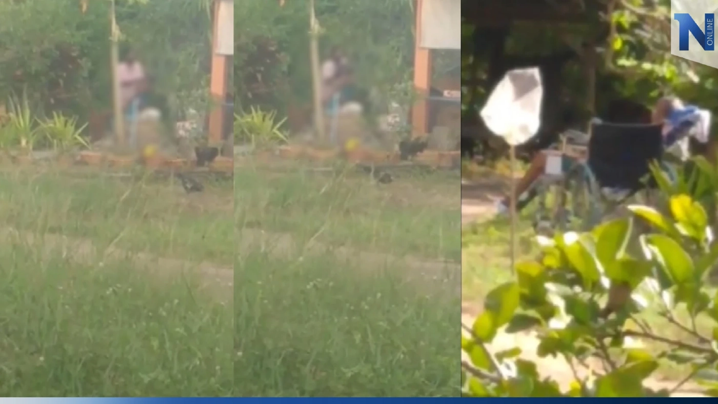 เพื่อนบ้านสุดทน แฉคลิป ลูกสาวทุบตีพ่อป่วยติดเตียง วอนช่วยเหลือ เพื่อนบ้านสุดทน แฉคลิป ลูกสาวทุบตีพ่อป่วยติดเตียง วอนช่วยเหลือ