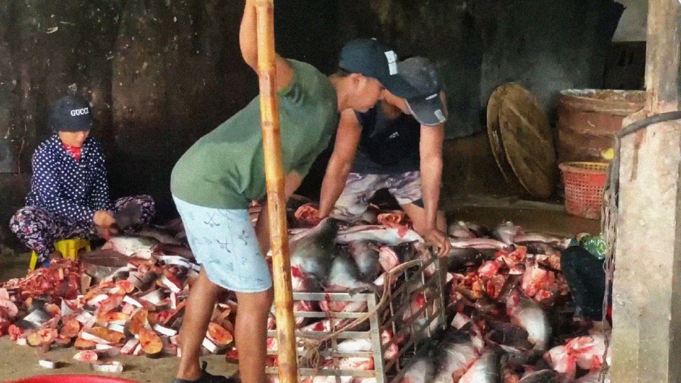 ตลาดปลาพระตะบองต้องพึ่งปลาจากฟาร์มไทย ตลาดปลาพระตะบองต้องพึ่งปลาจากฟาร์มไทย