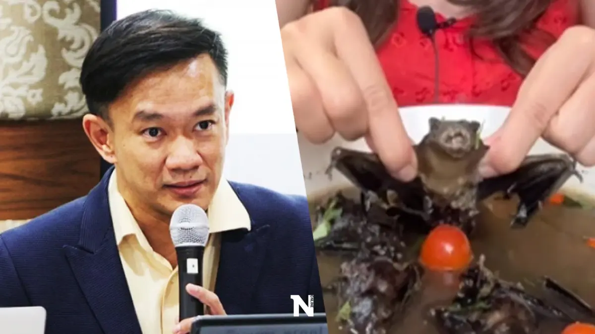 สุดอันตราย แพทย์ย้ำ กิน"ค้างคาว"แม้ปรุงสุก ก็เสี่ยงรับสารพัดเชื้อโรค