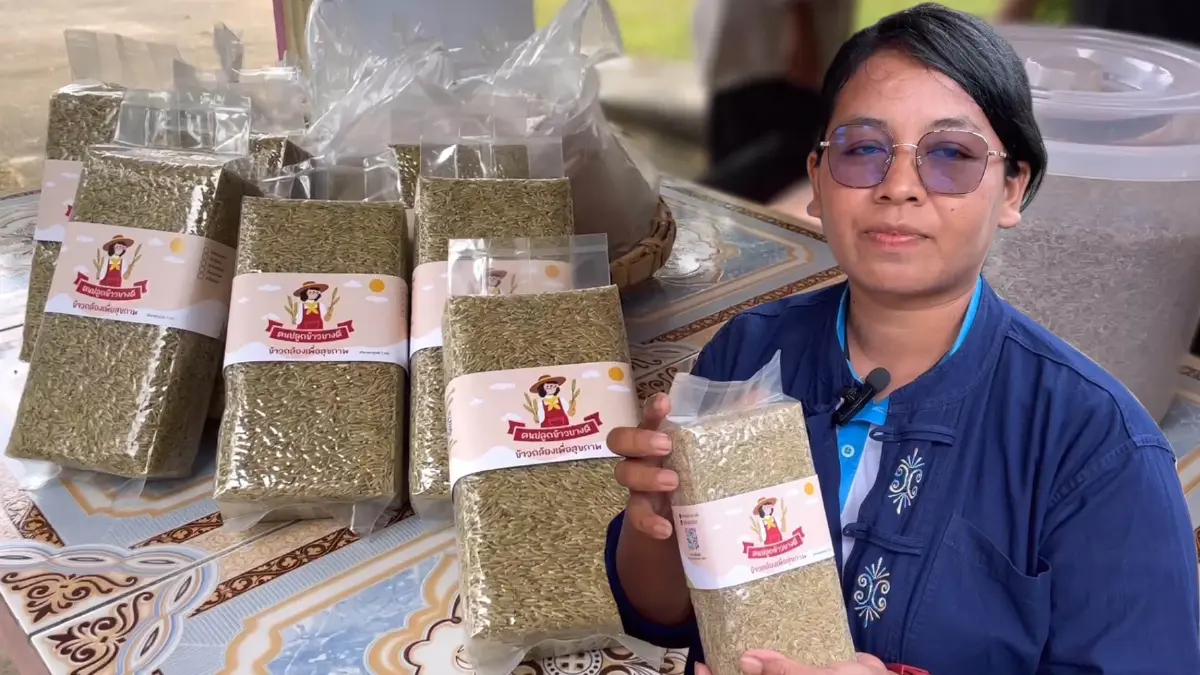 แปรรูป “ข้าวระยะเม่า” แก้ปัญหาศัตรูพืช สร้างมูลค่าเพิ่ม 3 เท่า