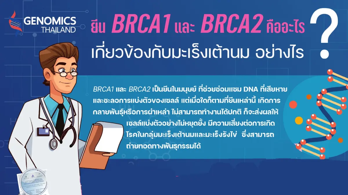 ความต่างของยีน "BRCA1 - BRCA2" กับมะเร็งเต้านม เกี่ยวข้องอย่างไร ?