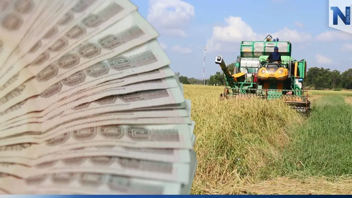 วันสุดท้าย! โอนเงินช่วย ชาวนา ไร่ละ 1,000 ให้ 42 จังหวัด ที่ไหนบ้าง เช็คเลย