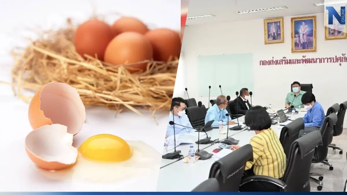 “เอ้กบอร์ด” เร่งส่งออกไข่ไก่ 60 ล้านฟอง เดือน ธ.ค. ดันราคาไข่ในประเทศ “เอ้กบอร์ด” เร่งส่งออกไข่ไก่ 60 ล้านฟอง เดือน ธ.ค. ดันราคาไข่ในประเทศ