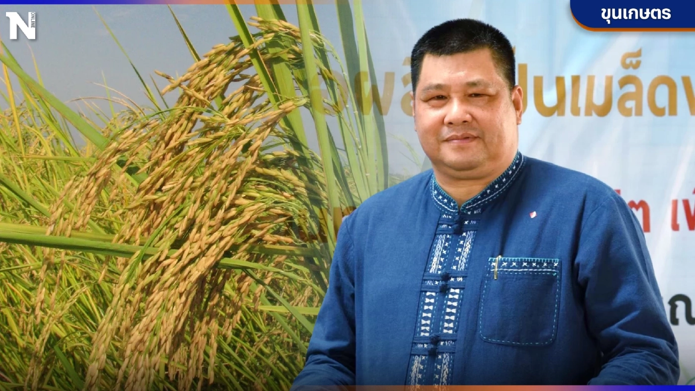เปิดเบื้องหลัง ทำไม"ข้าวไทย"ไม่หอม หล่นอันดับเสียแชมป์ให้"กัมพูชา"  