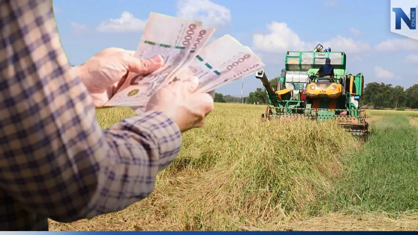 ชาวนาเช็คเลย ! เงินช่วยเหลือ "ไร่ละ 1,000" รอบแรก จังหวัดไหน โอนเมื่อไหร่บ้าง