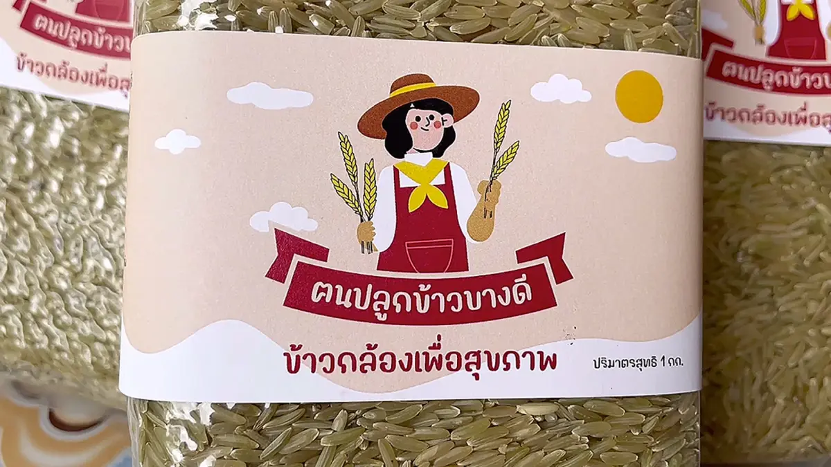 เกษตรกรแปรรูป 'ข้าวเม่า' ดันราคาพุ่งกว่า 3 เท่า!