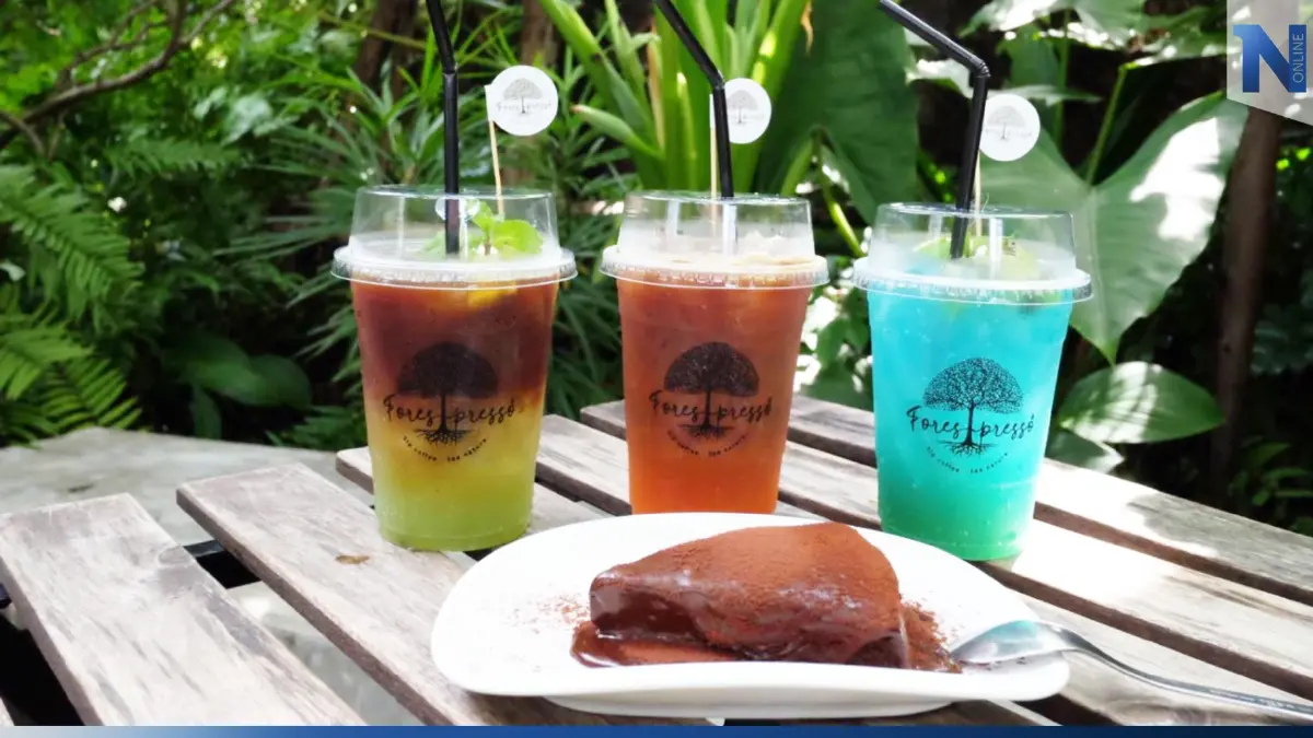 หลบความวุ่นวายออกไปหามุมสงบ จิบกาแฟในสวนกลางเมืองที่ “Forestpresso”