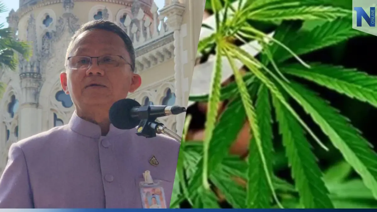 “สมศักดิ์” ยังไม่ชัด! ดึงกัญชากลับมาเป็นยาเสพติด “สมศักดิ์” ยังไม่ชัด! ดึงกัญชากลับมาเป็นยาเสพติด
