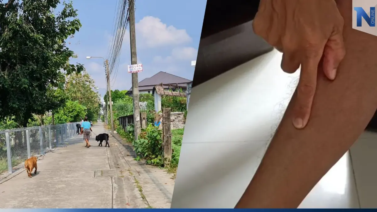 หนุ่มใหญ่สุดทน! ร้องเพจดัง เพื่อนบ้านปล่อย "สุนัขพิตบูล" ไล่กัดคนไปทั่ว