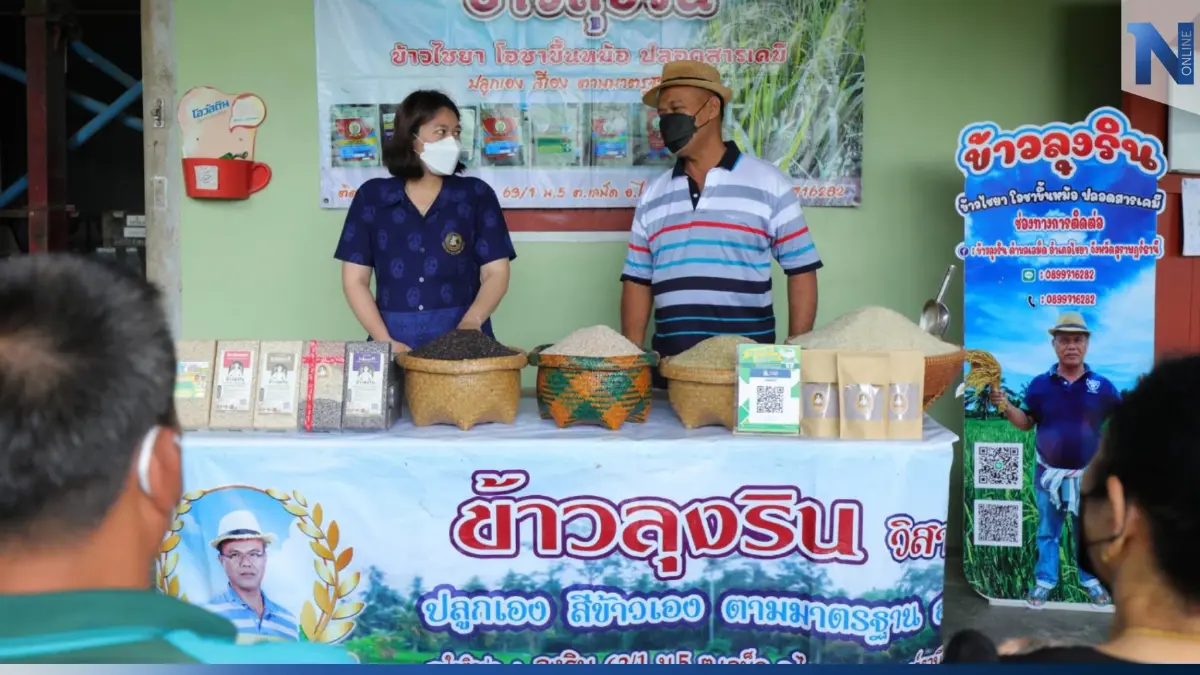 "วาริน สังข์ปล้อง" ต้นแบบ Smart farmer เพิ่มศักยภาพชาวนา สร้างรายได้สู่ชุมชน "วาริน สังข์ปล้อง" ต้นแบบ Smart farmer เพิ่มศักยภาพชาวนา สร้างรายได้สู่ชุมชน