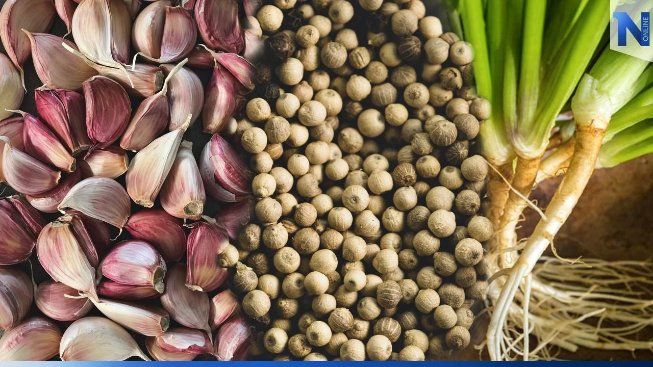 ถอดรหัส ‘สามเกลอ’ เครื่องปรุงคู่ครัวไทยกับสรรพคุณที่ซ่อนไว้ในเมนู