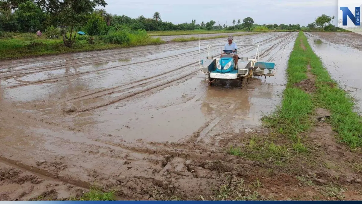 กรมการข้าว ส่งเสริม Smart Farmer พัฒนาชาวนาสู่ต้นแบบเกษตรกรปราดเปรื่อง กรมการข้าว ส่งเสริม Smart Farmer พัฒนาชาวนาสู่ต้นแบบเกษตรกรปราดเปรื่อง