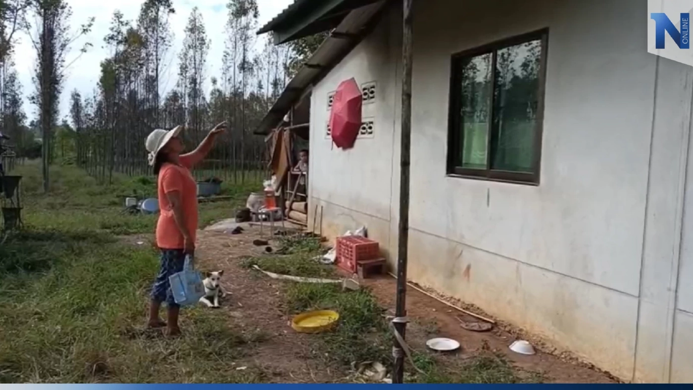 ชาวบ้านผวา ช้างป่าอ่างฤาไนหิวจัด เดินเคาะหน้าต่าง 3 หลังรวดกลางดึก ชาวบ้านผวา ช้างป่าอ่างฤาไนหิวจัด เดินเคาะหน้าต่าง 3 หลังรวดกลางดึก