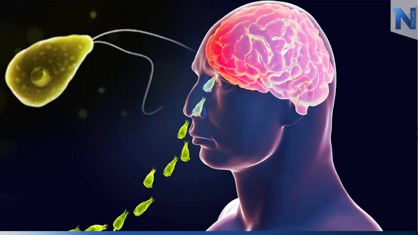 เปิดเรื่องจริง ‘อะมีบากินสมอง’ ภัยจากแหล่งน้ำ