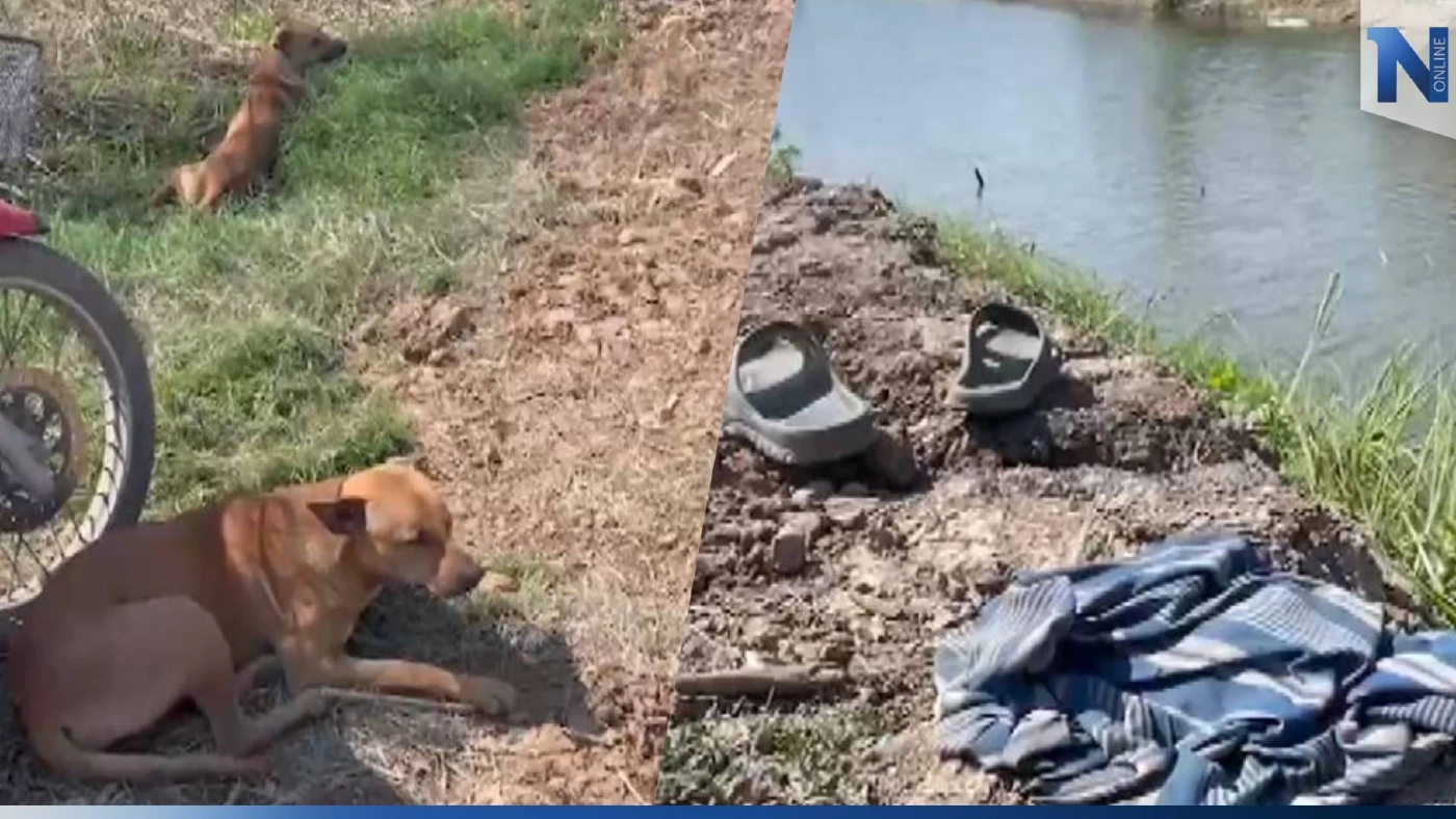 สลด 2 สุนัขนั่งเฝ้าศพเจ้านายริมคลอง หลังจมน้ำดับ สลด 2 สุนัขนั่งเฝ้าศพเจ้านายริมคลอง หลังจมน้ำดับ