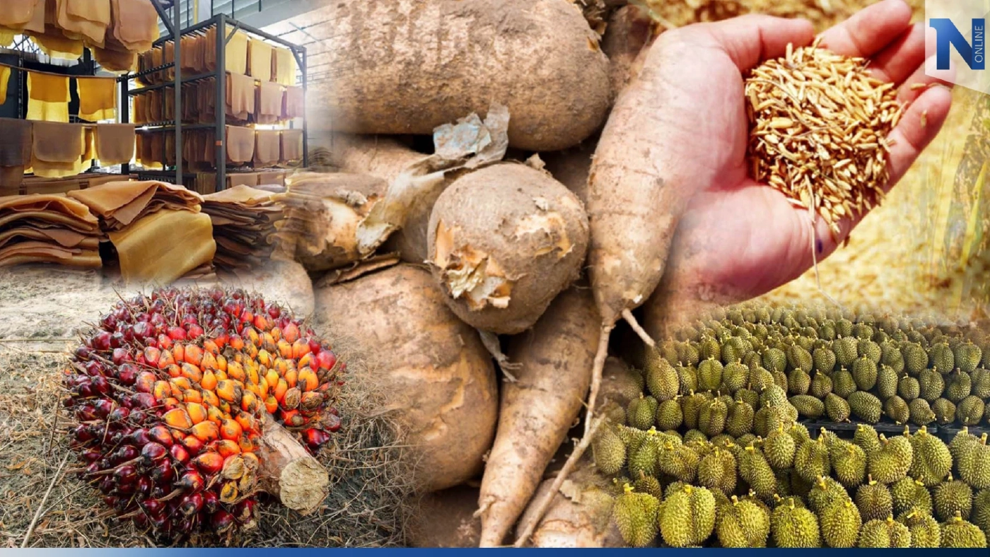 ส่องเลย !  สินค้าเกษตรตัวไหน "ดาวรุ่ง-ดาวร่วง" ในปี 66