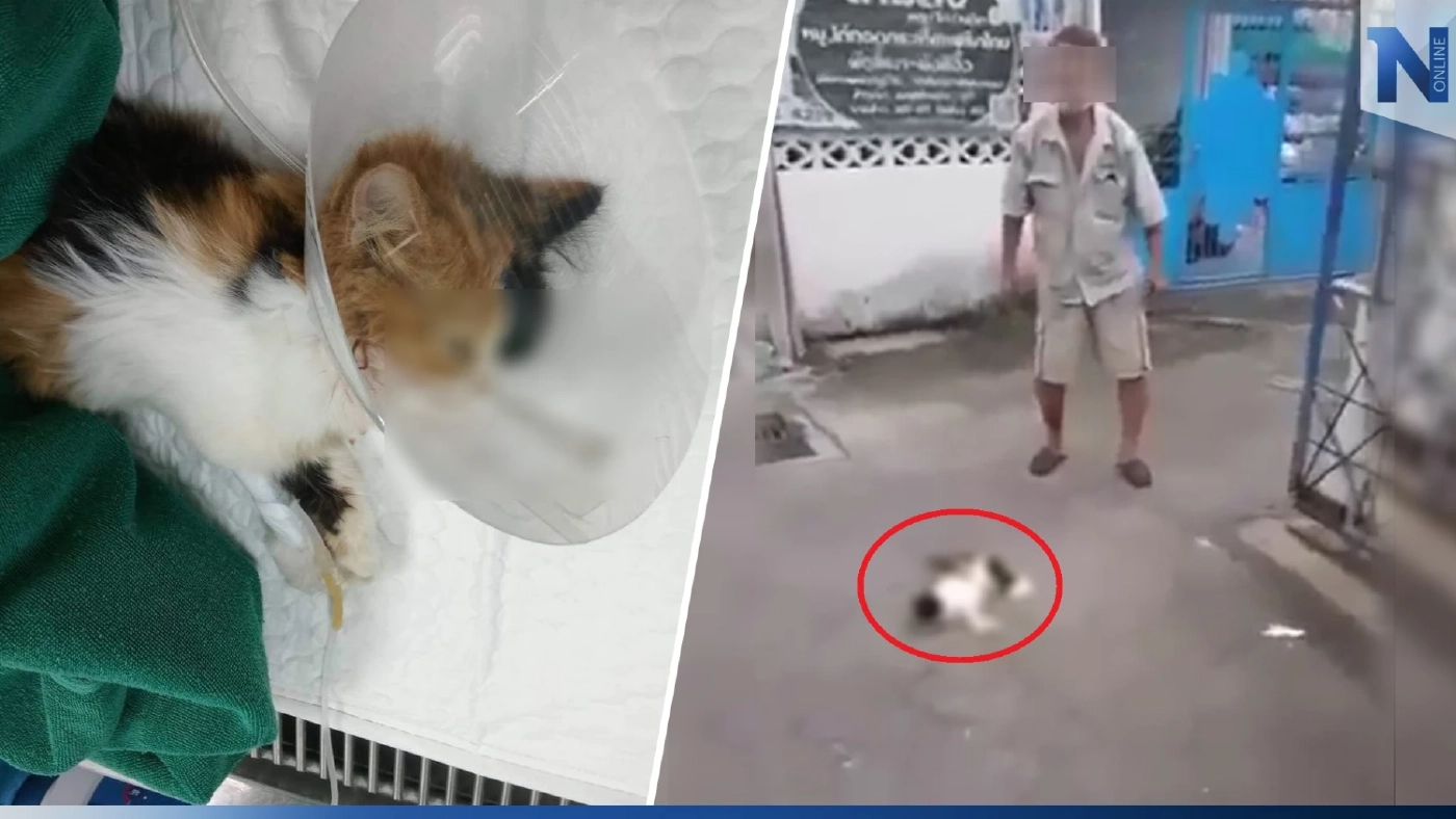 จิตใจทำด้วยอะไร ลุงสุดโหด จับแมวฟาดพื้นต่อหน้า เจ้าของลั่นเอาผิดถึงที่สุด