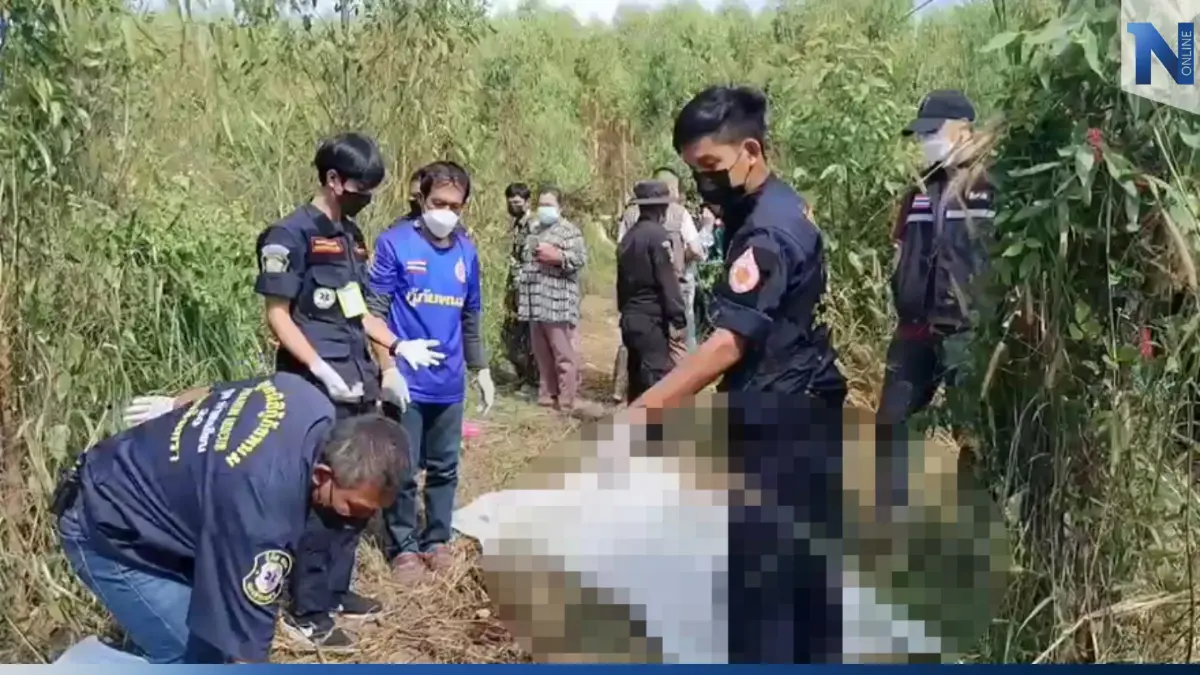 สลด ลุงฉีดหญ้าหูตึง ไม่ได้ยินเสียงช้างป่า ถูกกระทืบจมดินดับสยอง สลด ลุงฉีดหญ้าหูตึง ไม่ได้ยินเสียงช้างป่า ถูกกระทืบจมดินดับสยอง