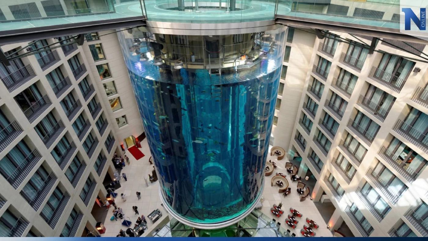 อควาเรียมแตกกลางเบอร์ลิน ปลาตายหลายร้อยตัว อควาเรียมแตกกลางเบอร์ลิน ปลาตายหลายร้อยตัว