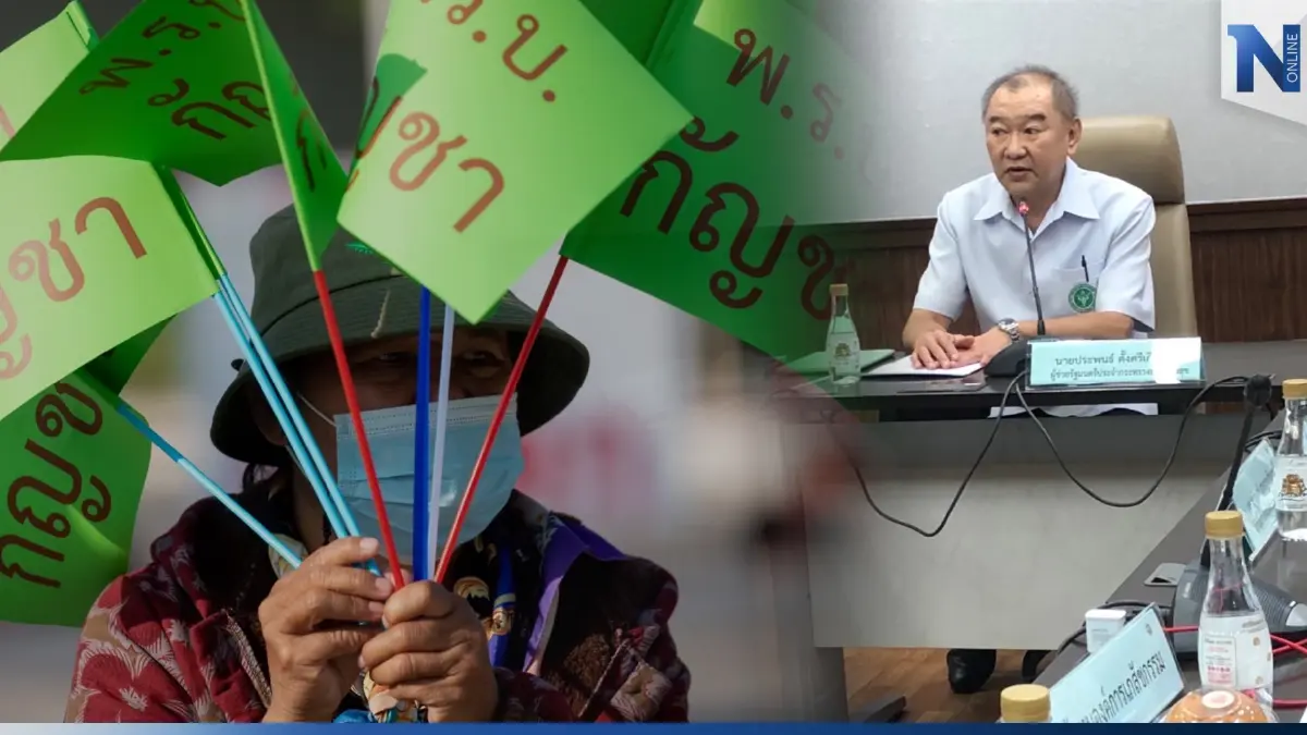 "สธ."ออกตัวขอบคุณ"ท่านผู้แทนฯ" รับพิจารณา"ร่างกม.กัญชา" "สธ."ออกตัวขอบคุณ"ท่านผู้แทนฯ" รับพิจารณา"ร่างกม.กัญชา"