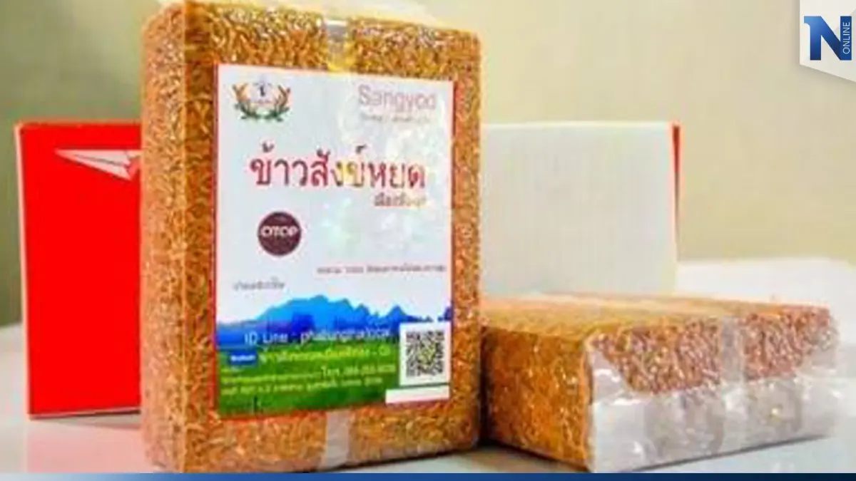 ทำความรู้จัก"ข้าวสังข์หยดเมืองพัทลุง" ความก้าวหน้าอีกขั้นของสินค้าเกษตร