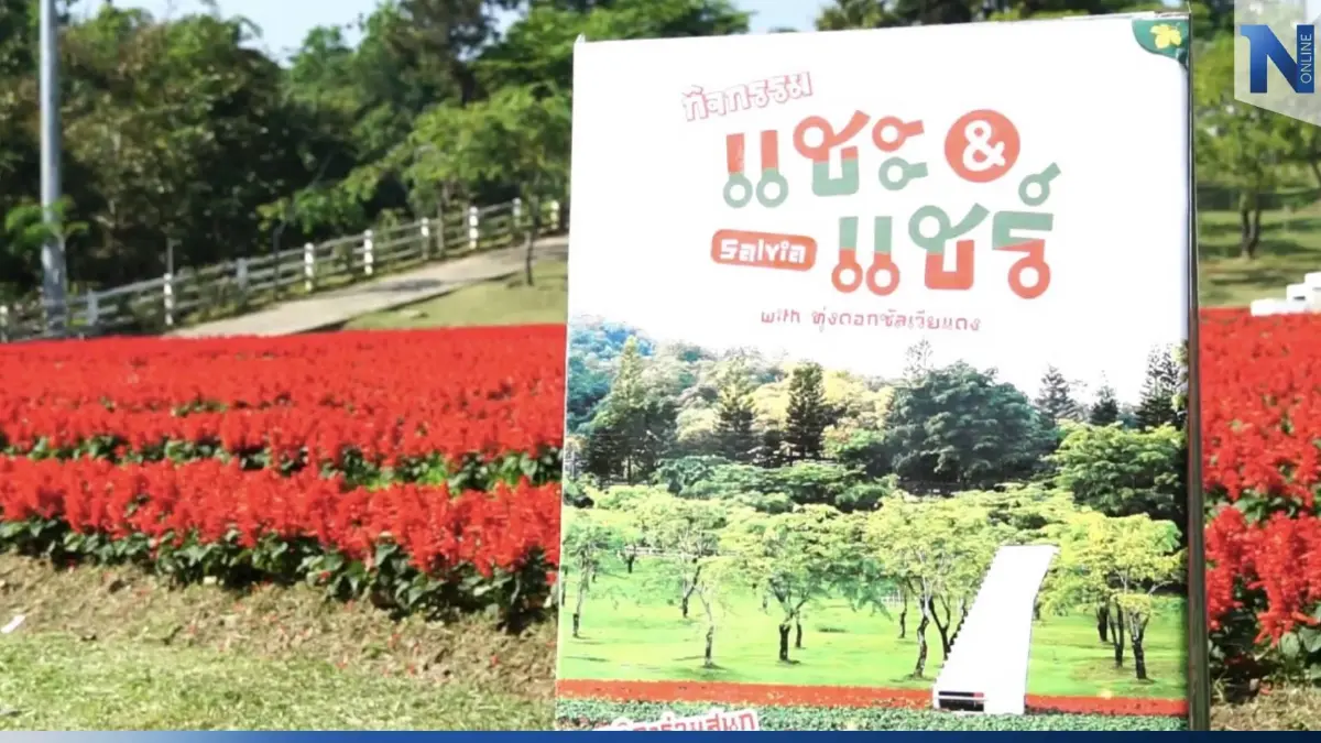 หนาวแล้ว! นักท่องเที่ยวแห่ชม ดอกไม้เมืองเหนือคึกคัก