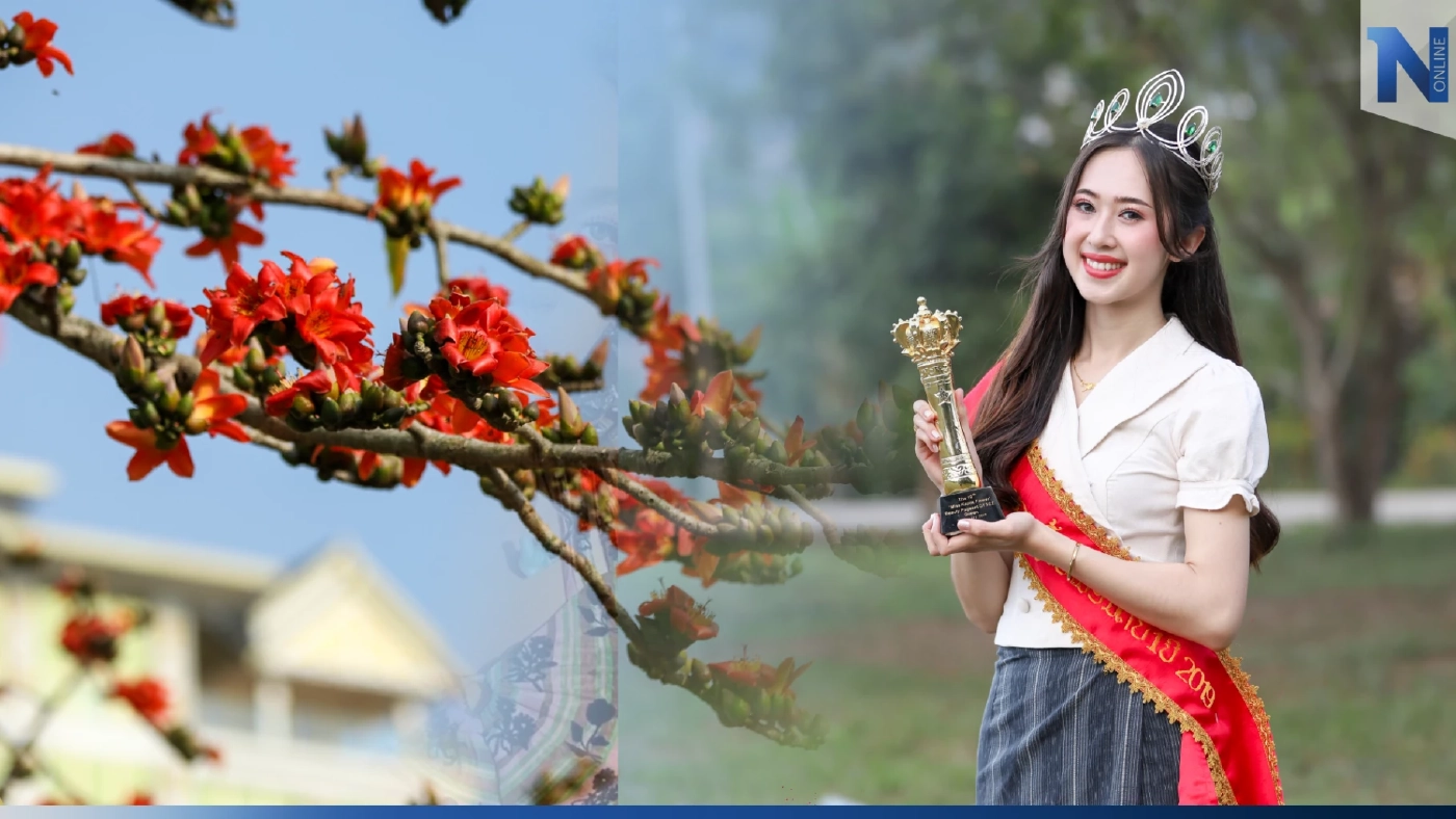 นับถอยหลัง "เทศกาลดอกงิ้วบาน ครั้งที่ 20"  ยิ่งใหญ่กว่าทุกปีที่ผ่านมา