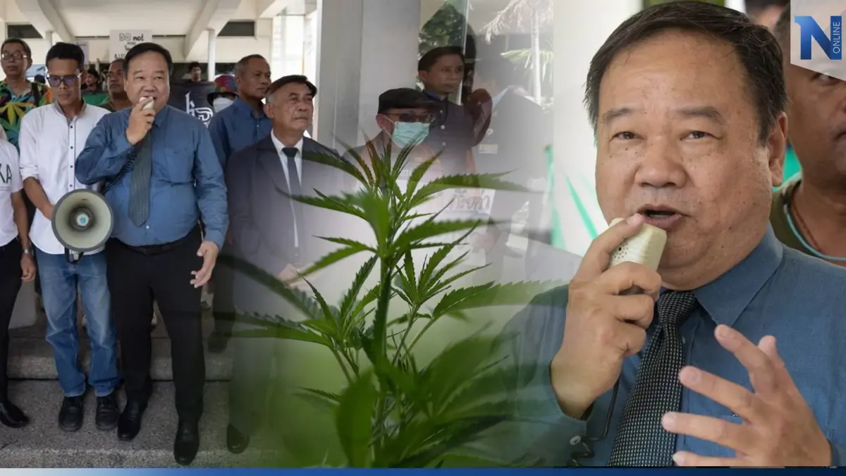 นัดบุกสภา14 ธ.ค.จี้ออกกม.คุม"กัญชา" ยกเหตุปิดช่องโหว่เยาวชนแอบเสพติด