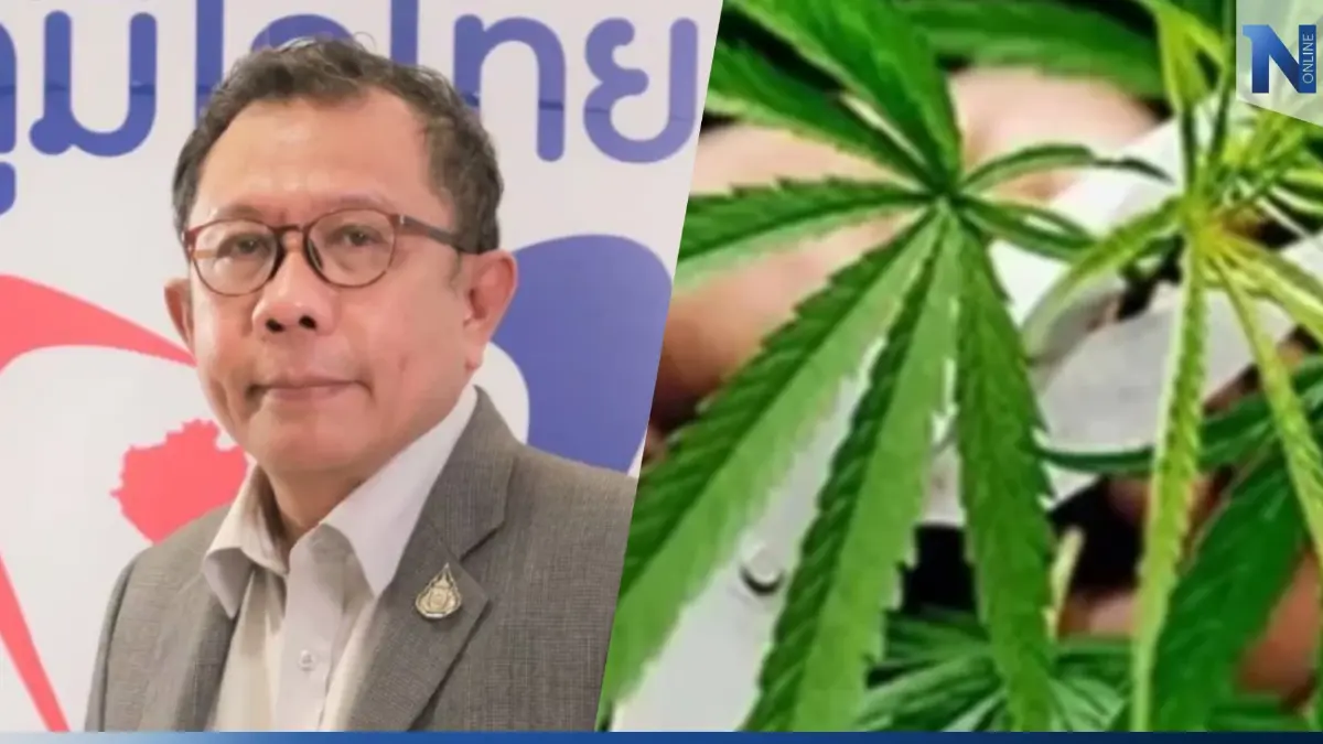 ภท. ย้ำนโยบาย กัญชาเพื่อการแพทย์-เศรษฐกิจ ไม่หนุนเรื่อง “พี้”