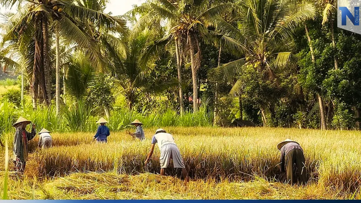   ชาวนาเฮ ! ธ.ก.ส.โอนเงินให้เกษตรกรผู้ปลูกข้าวเพิ่ม 1,100 ล้านบาทวันนี้